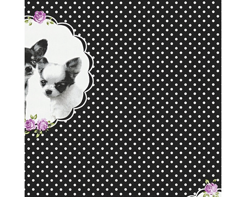Vliesbehang 35851-2 Kleine Sterren zwart Chiwawa