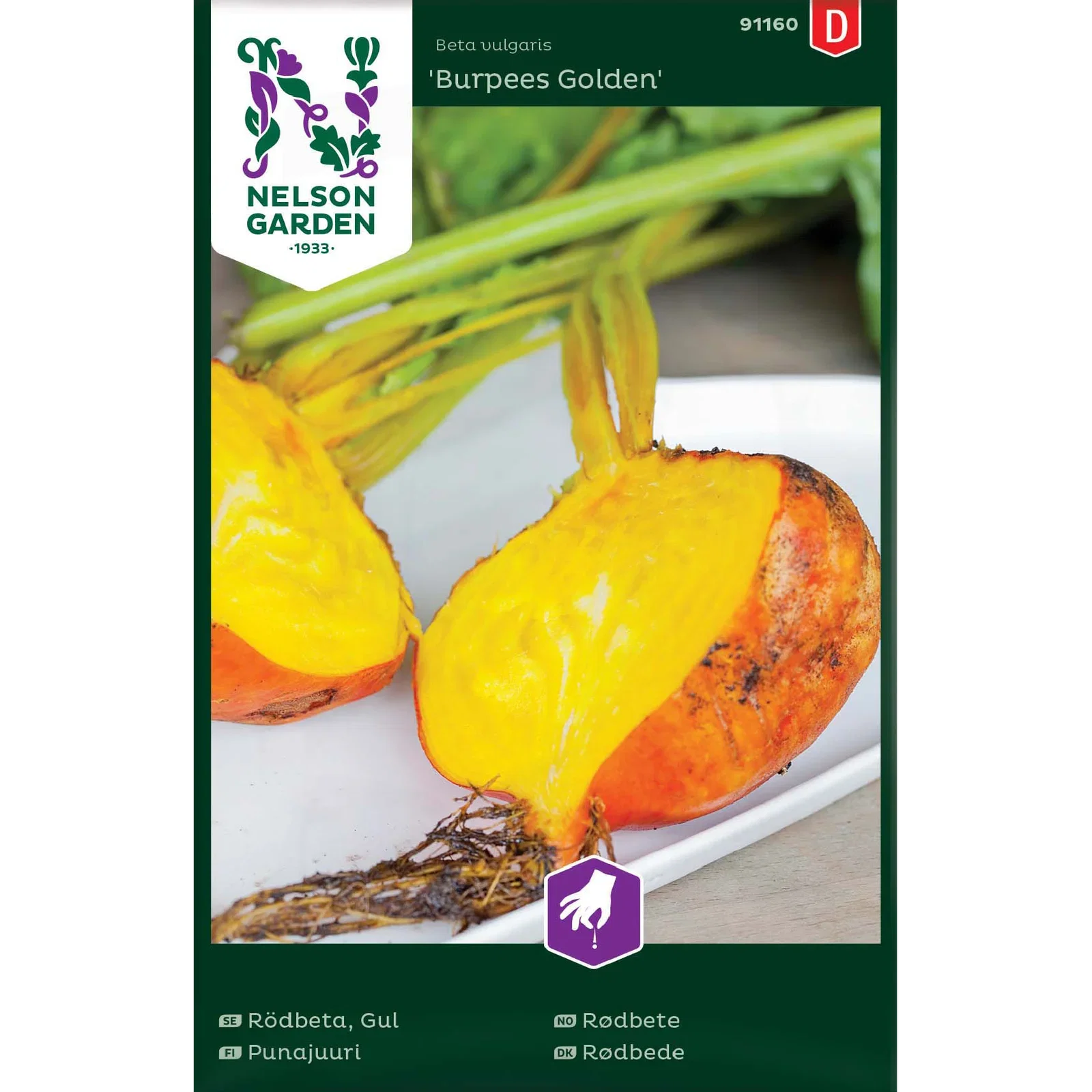 Beta vulgaris 'Burpees Golden' Rødbete 'Burpees Golden'