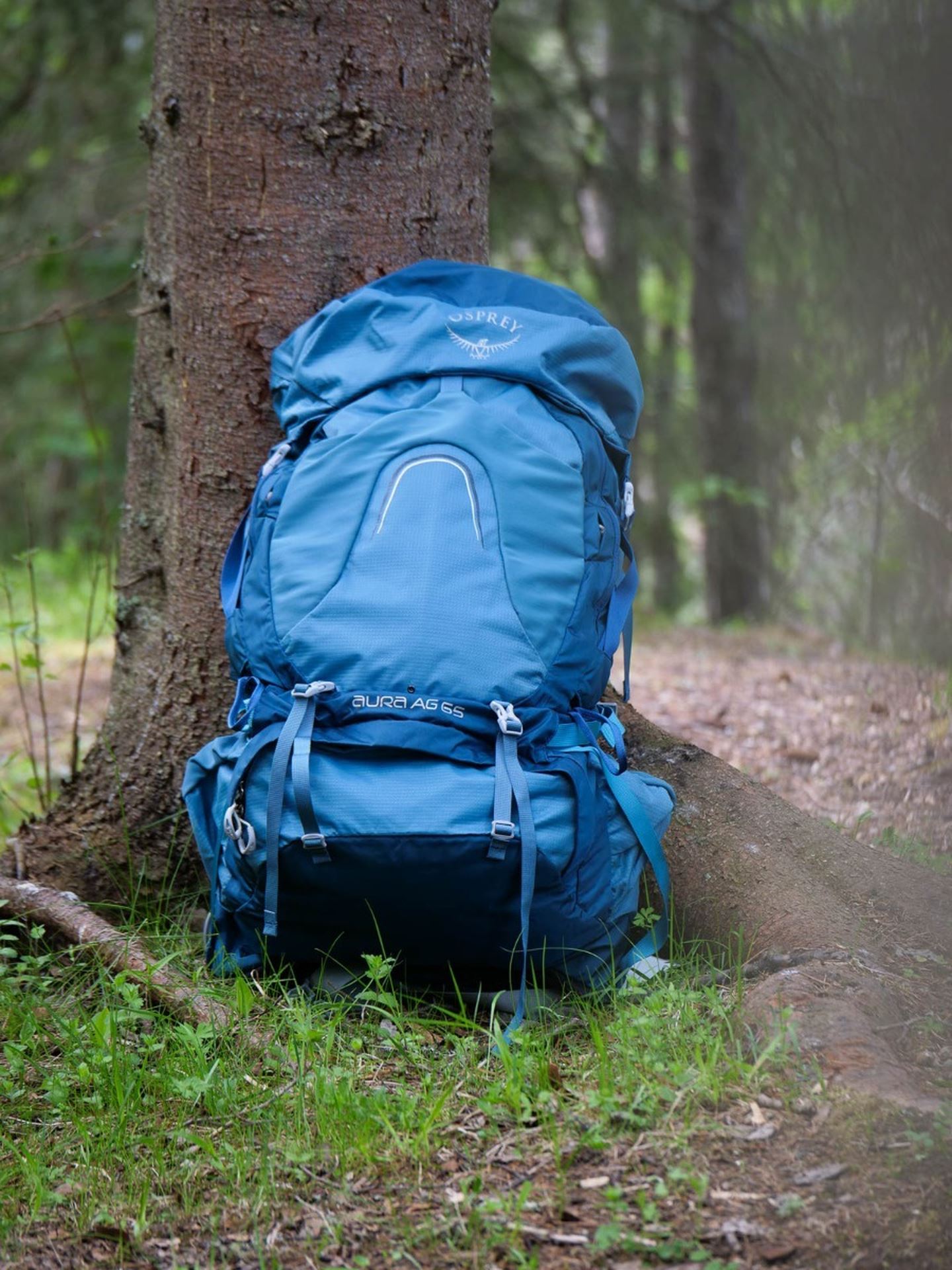 Aura AG 65L