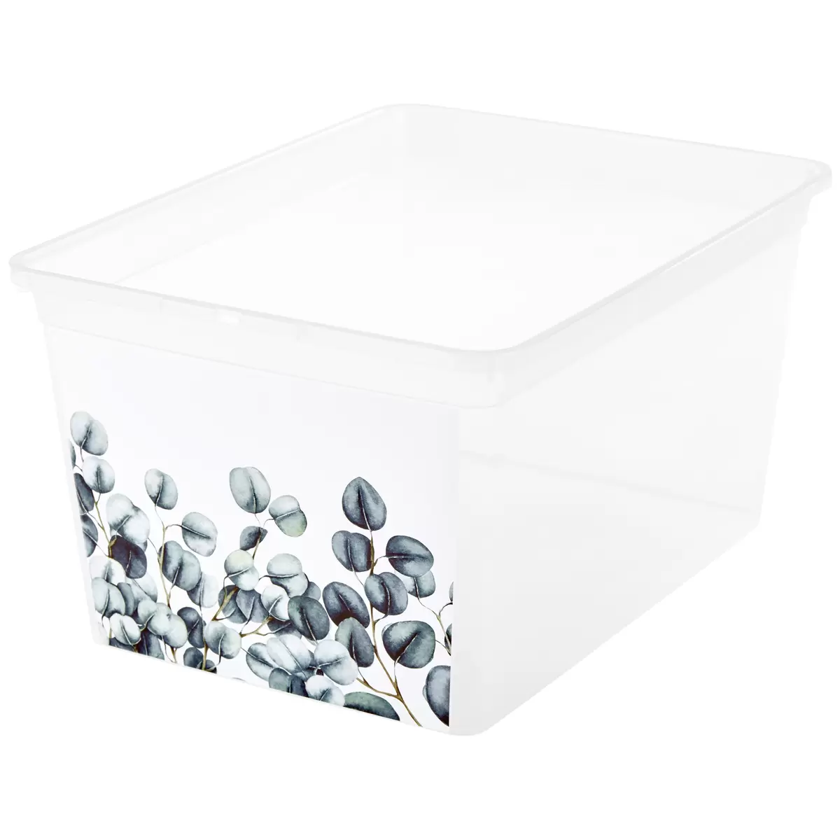 Aufbewahrungsbox mit Deckel Eukalyptus anthrazit,transparent