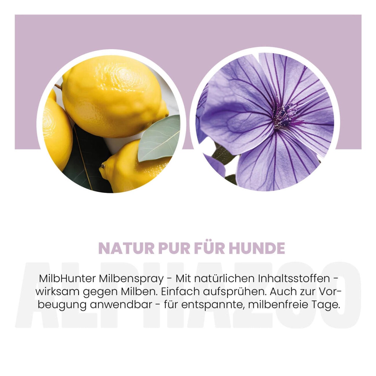 ALPHAZOO MilbHunter Milbenspray für Hunde & Katzen I Starkes Anti Milbenmittel 100 ml