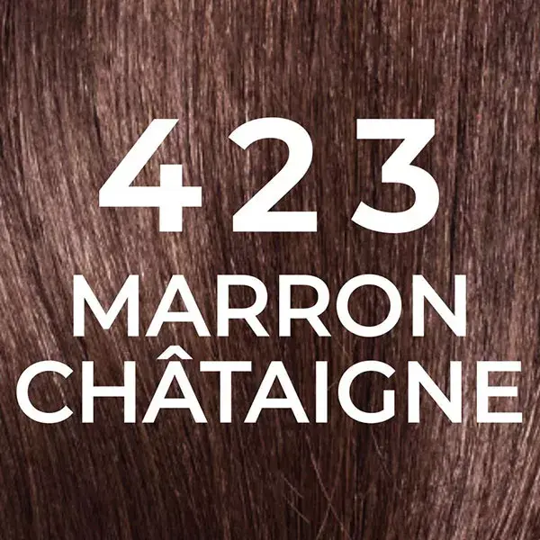 L'Oréal Paris Casting Natural Gloss Coloration 423 Marron Châtaigne