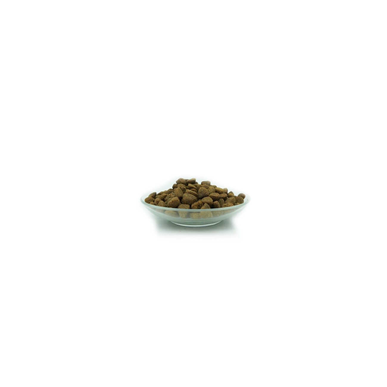 Bellfor Hundefutter mit hohem fleischanteil - PREMIUM PUR FleischPlus - 10 kg