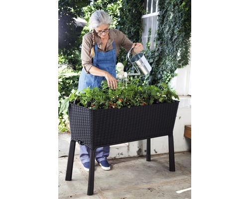 Keter Easy Growing verhoogde tuinbak op palen, 114 x 49,3 x 75,7 cm, antraciet