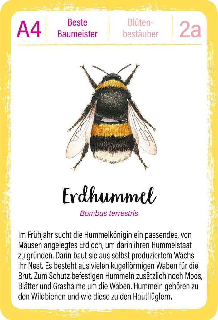Qartett EXPEDITION NATUR - TIERREKORDE