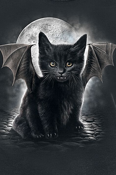 Bat Cat | Spiral Top