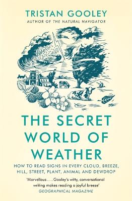 The Secret World of Weather (Paperback)