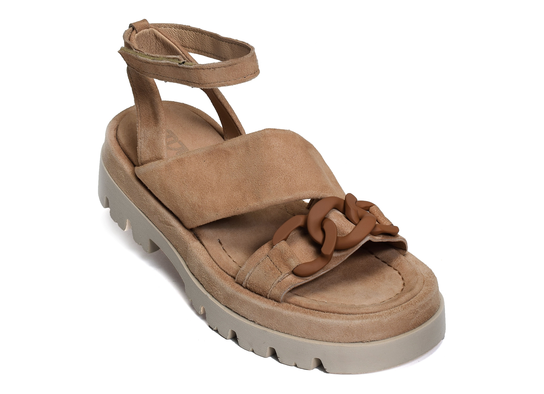 P50005 camel