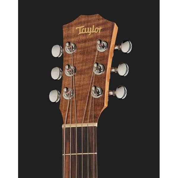 Taylor Baby Mahogany BT2
