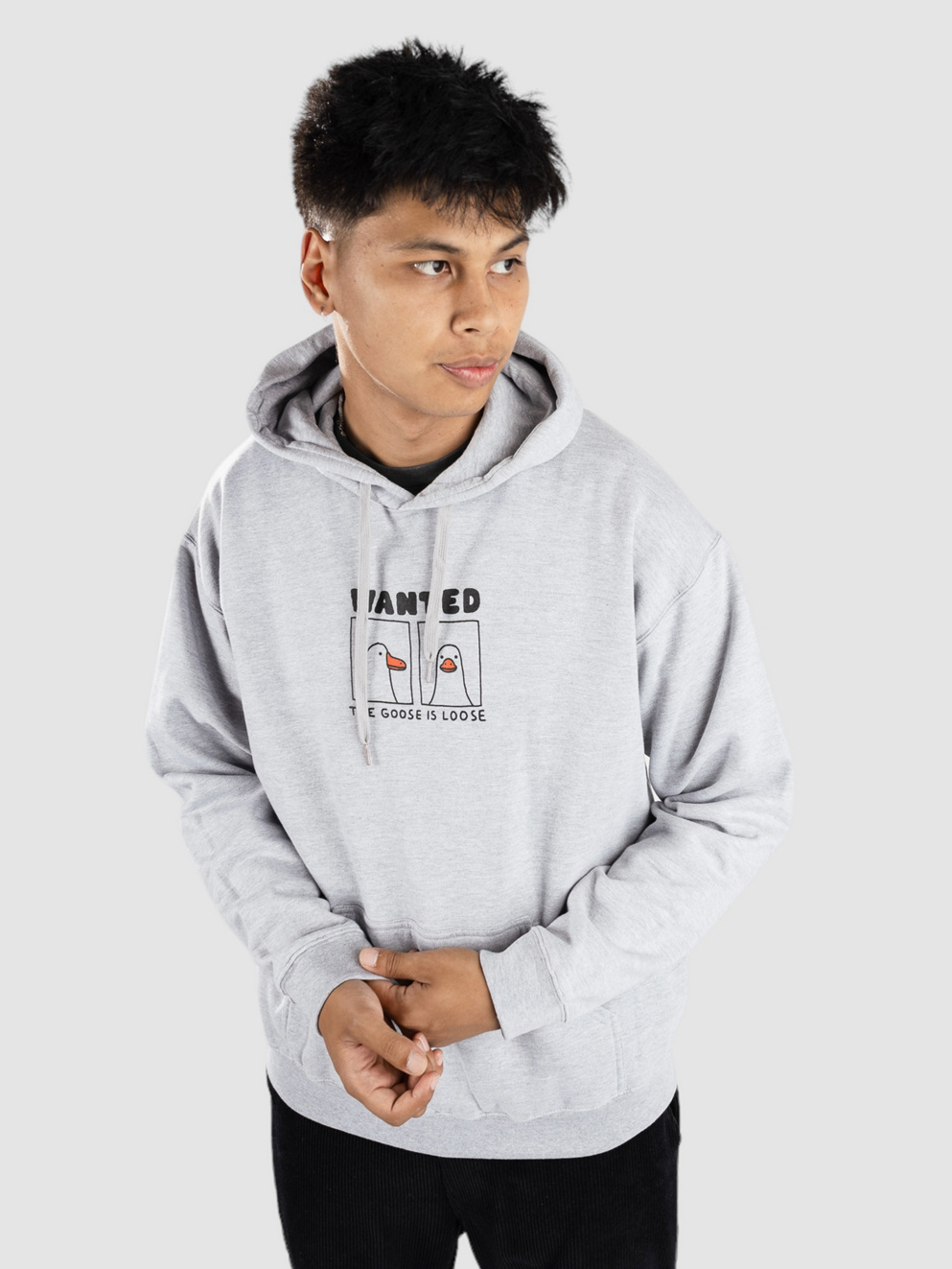 A.LAB Goose Is Loose Hoodie sport grey
