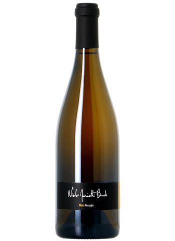 Mursaglia blanc - Cantina di Torra - Nicolas Mariotti Bindi