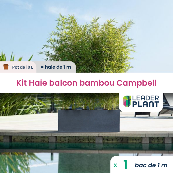 Kit brise-vue balcon bambou campbell 10 l
