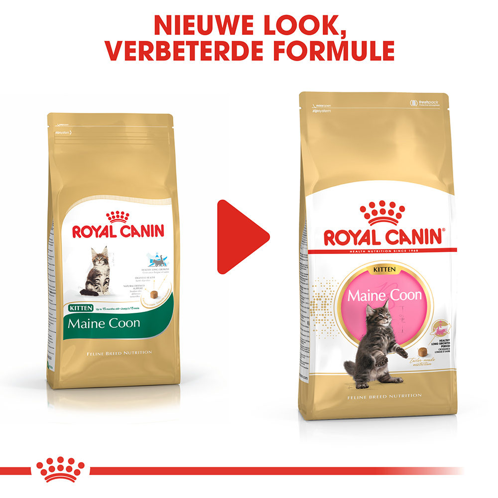 Royal Canin Maine Coon Kitten - Kattenvoer