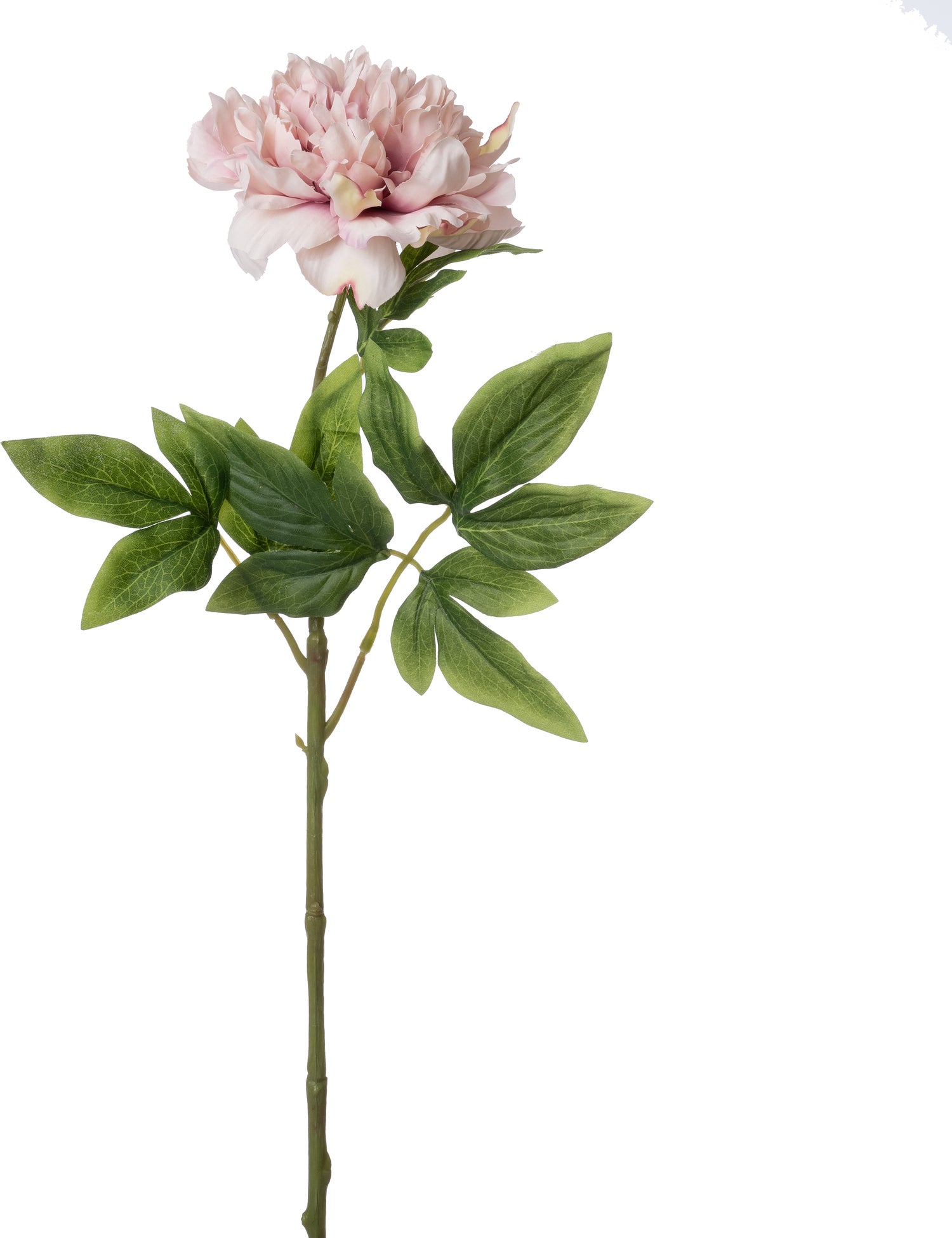Intratuin kunstbloem Pioen roze 63 cm