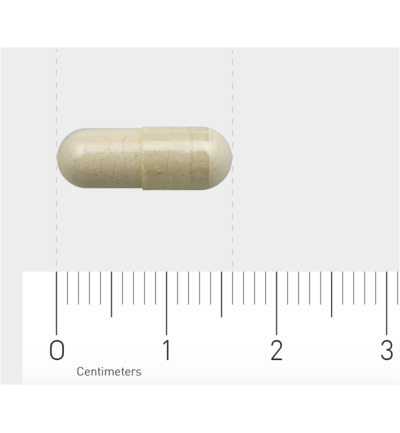 Aov 1106 Beta 1.3 Glucaan (60 vega capsules)