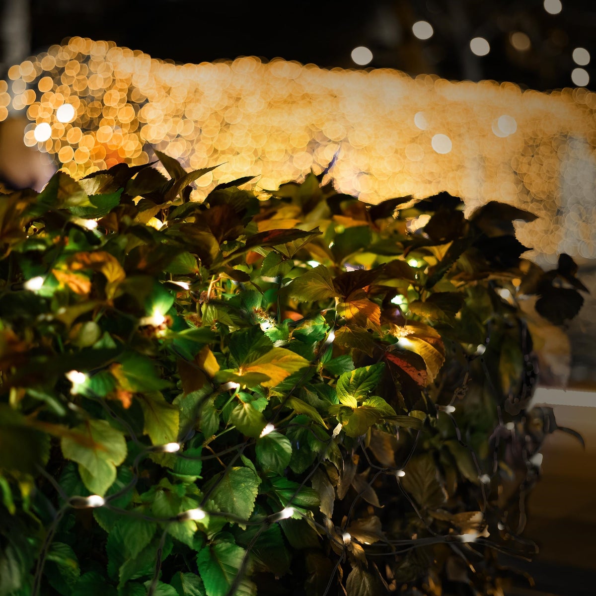 ECD Germany LED-lichtnet met 320 warmwitte LED's, 3 x 1,5 m, kerst-LED-lichtgordijn, kerstverlichting, lichtsnoer, voor binnen- en buitengebruik, IP44 waterdicht