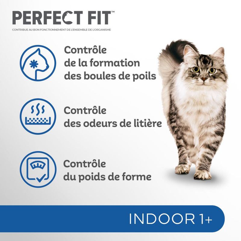 Perfect Fit Sterile 1+ Indoor Riche en poulet