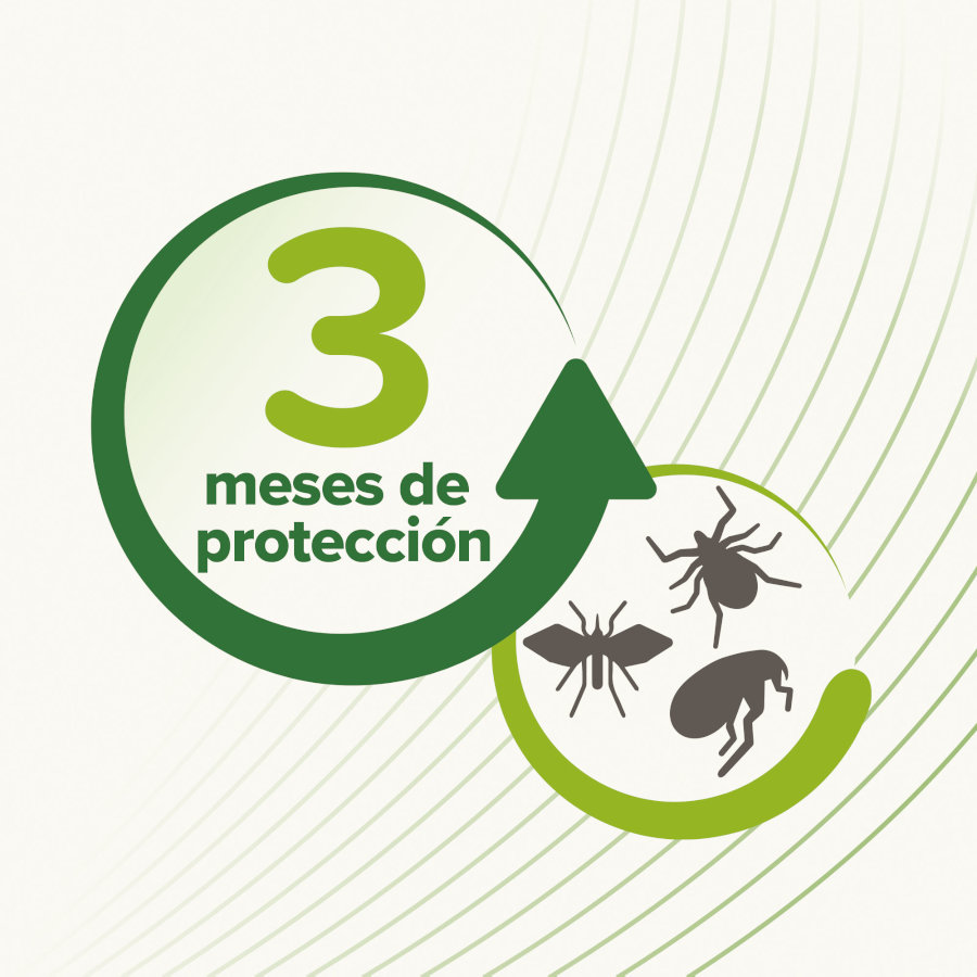 Coleira repelente para gatos Beaphar Bioband