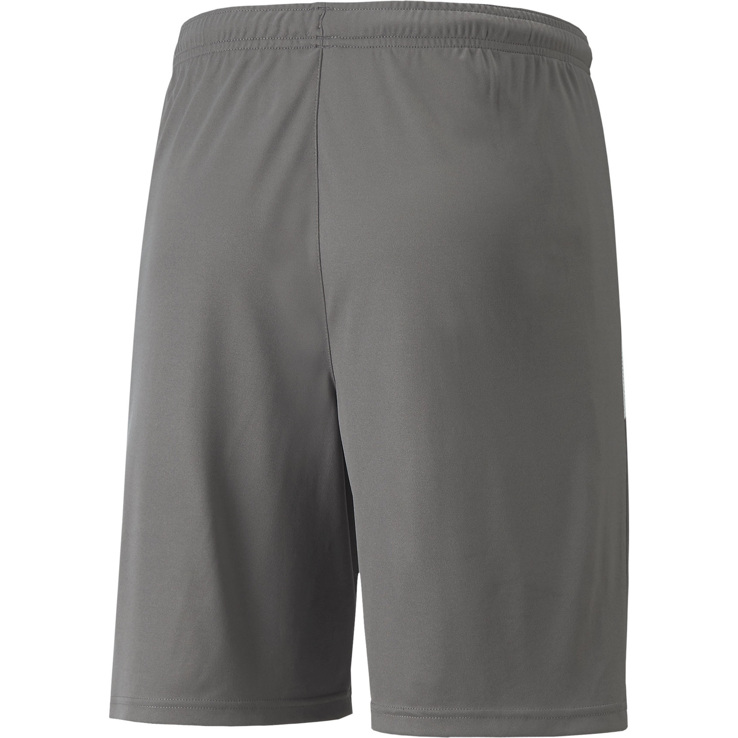 Puma Teamliga Short