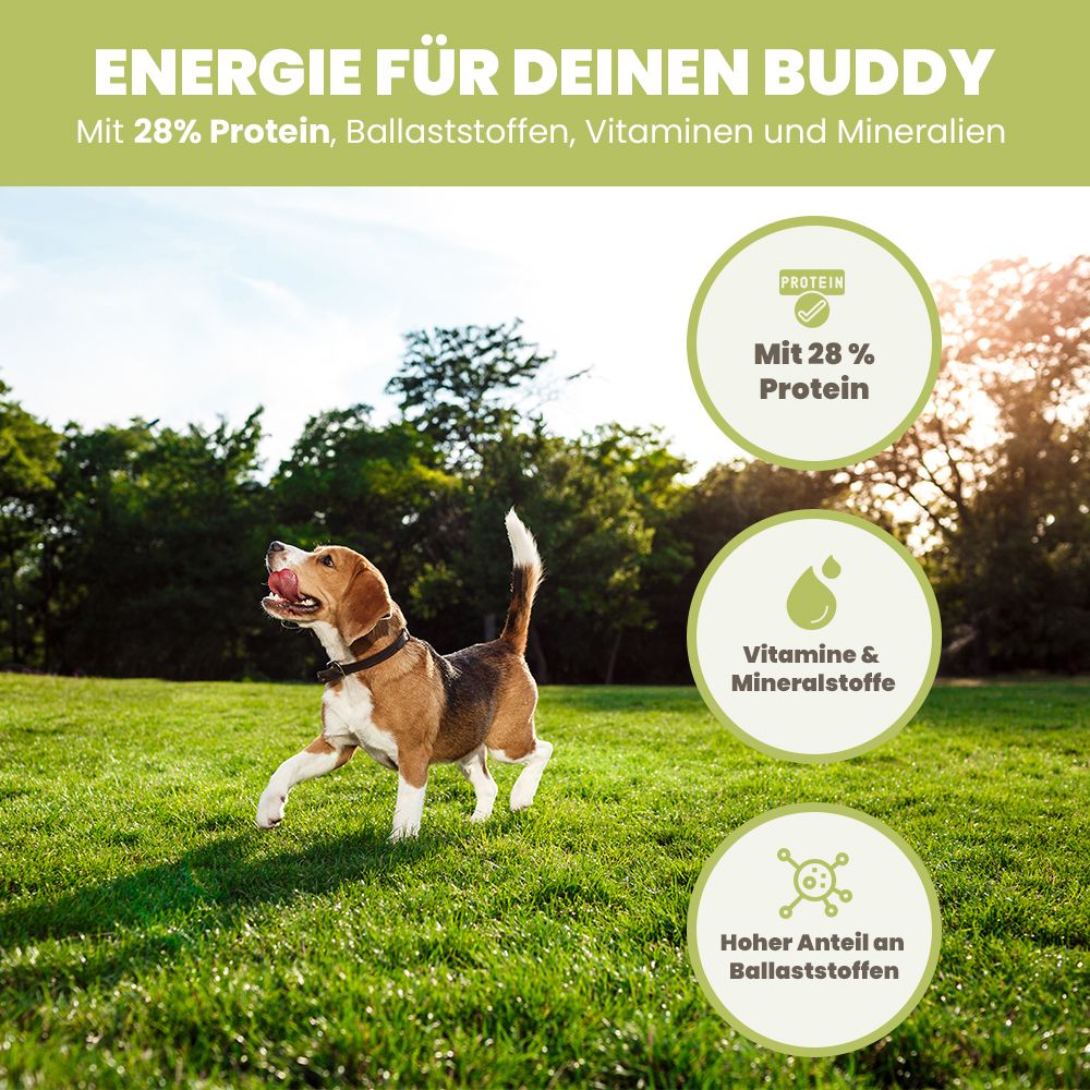 SANUUS Vegane & getreidefreie Hundeleckerli Bio Hundesnacks aus Hanfpellets 500g