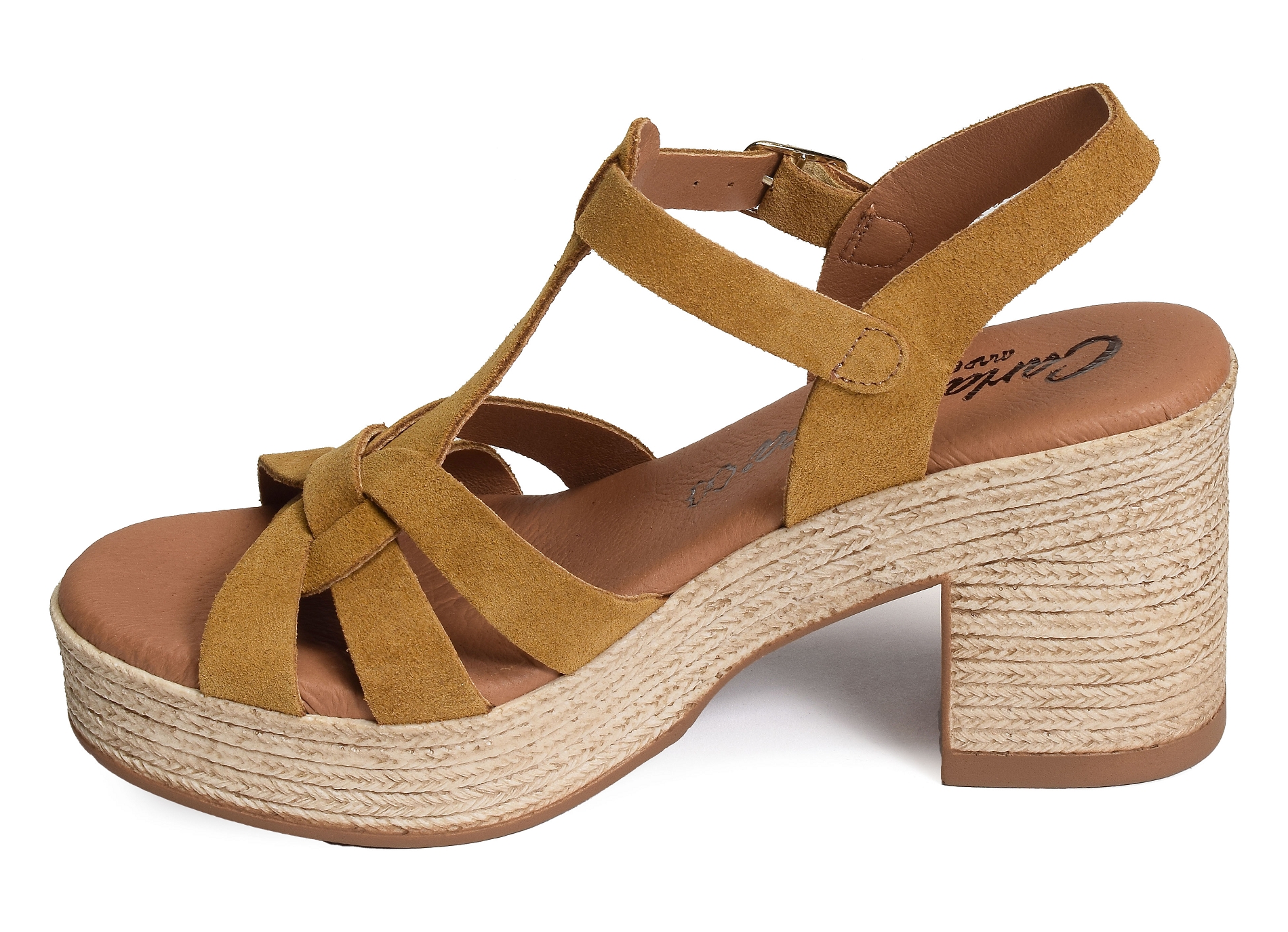 32403 camel