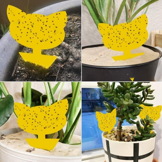 Sticky fælde til skadedyr på stueplanter 60-pak Gul