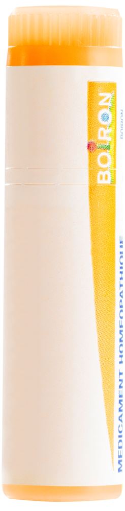 Boiron Causticum 15 CH<br>1 Dosis, Streukügelchen