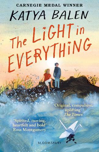 The Light in Everything (Paperback)