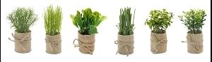 FEUILLAGE POT TOILE JUTE H.16CM
