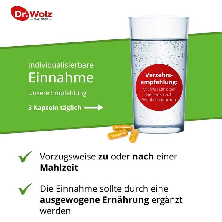 Curcumin Extrakt 45 Dr. Wolz Kapseln, 90 St