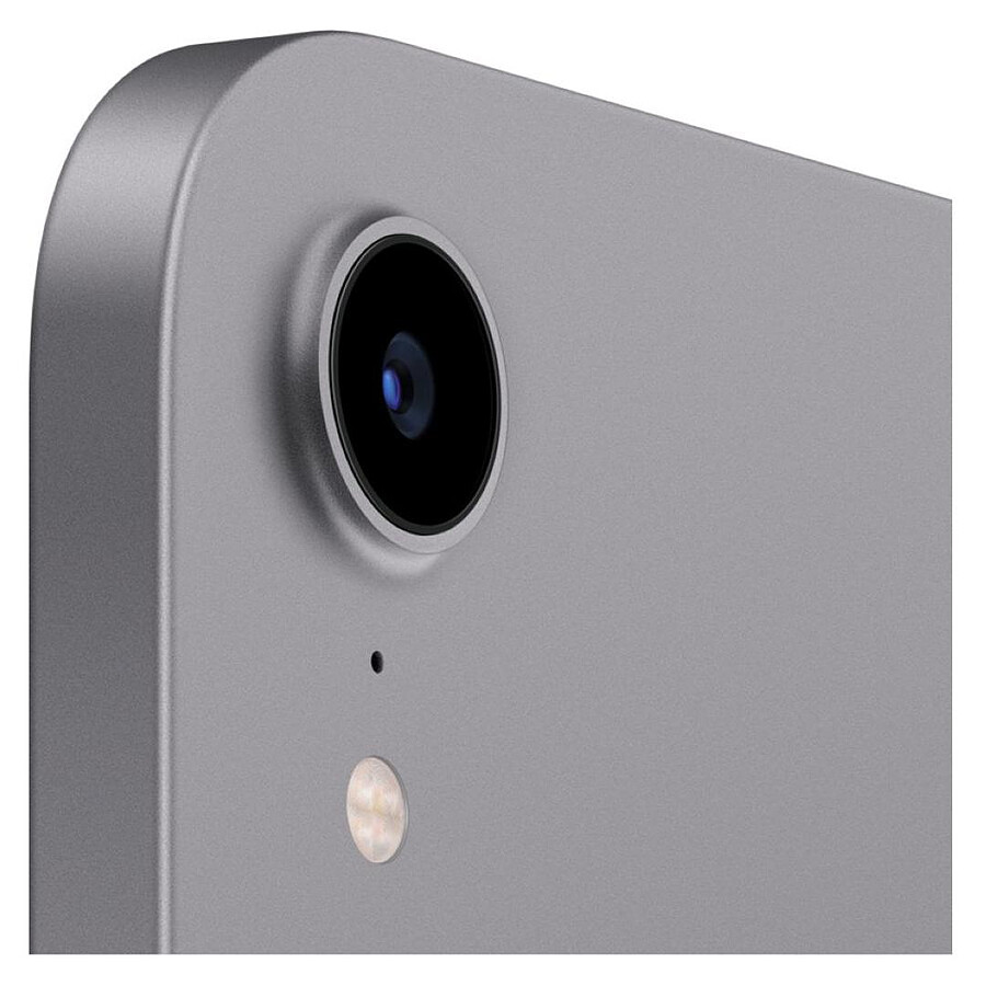 Apple iPad mini (2021) Wi-Fi - 256 Go - Gris sidéral