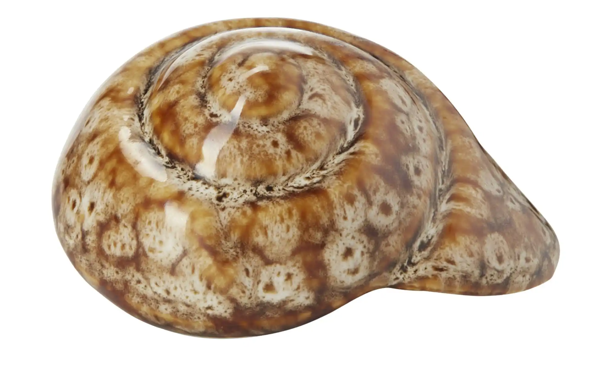 Deko Muscheln, sortiert