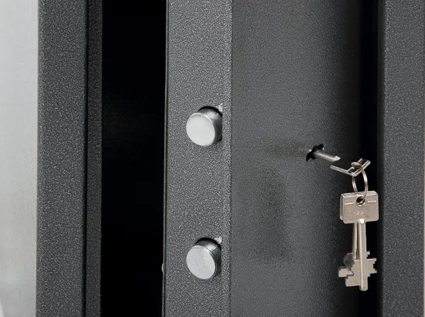 Phoenix Safe Co. SS0992KD, Fritstående pengeskab, Grå, Nøgle, Stål, Penge, 250 mm