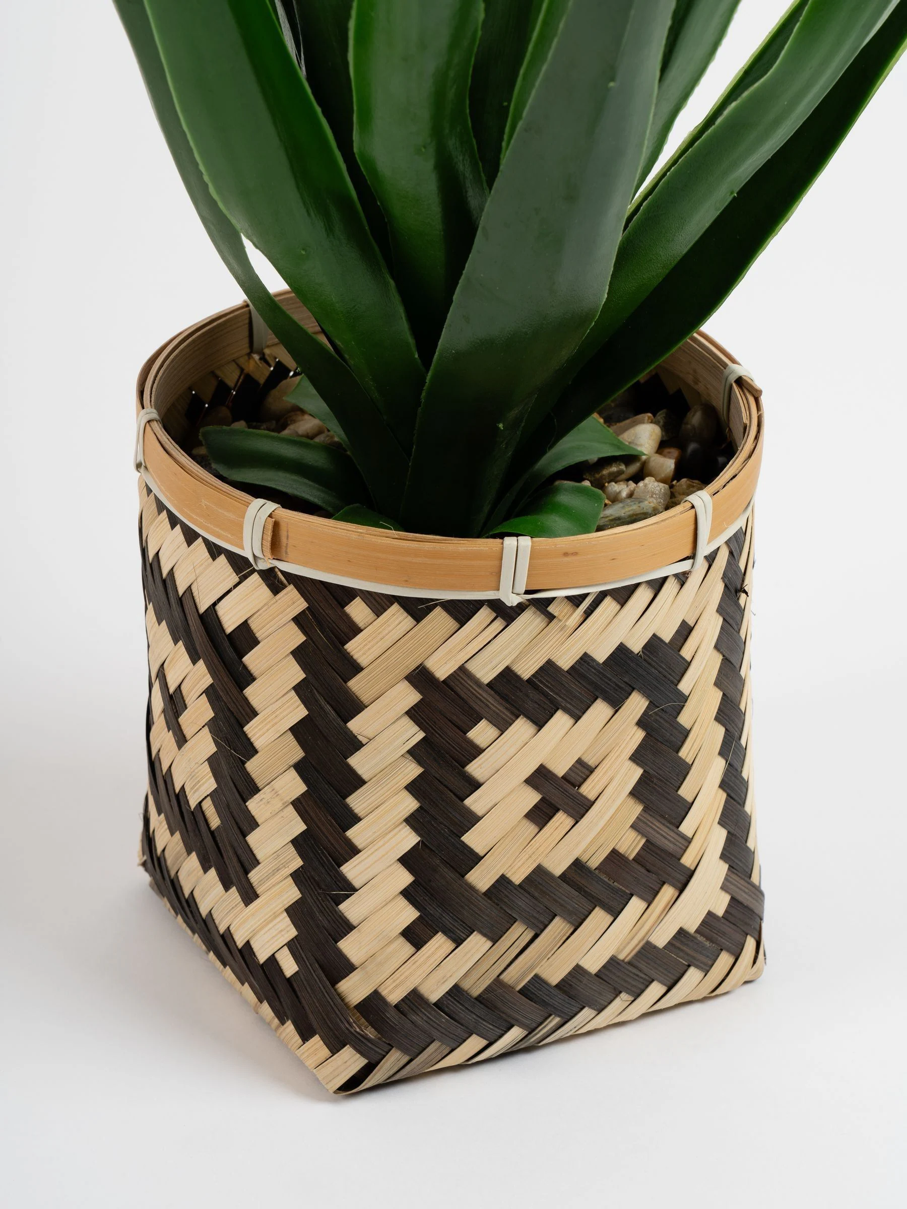 Scottish Everlastings Ltd Artificial Aloe in Basket