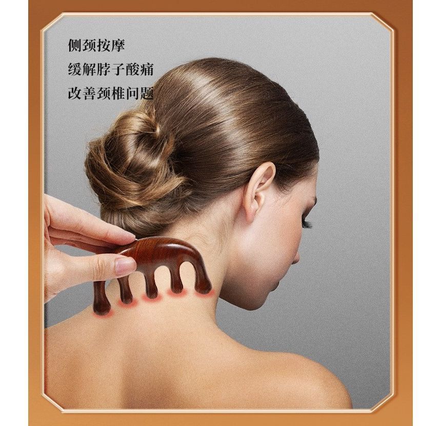 Choyu - Houten haarkam (verschillende ontwerpen)