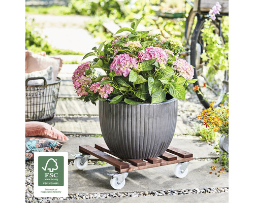 Wagner Gigant houten plantenwagen, 45x45 cm, draagvermogen 250 kg