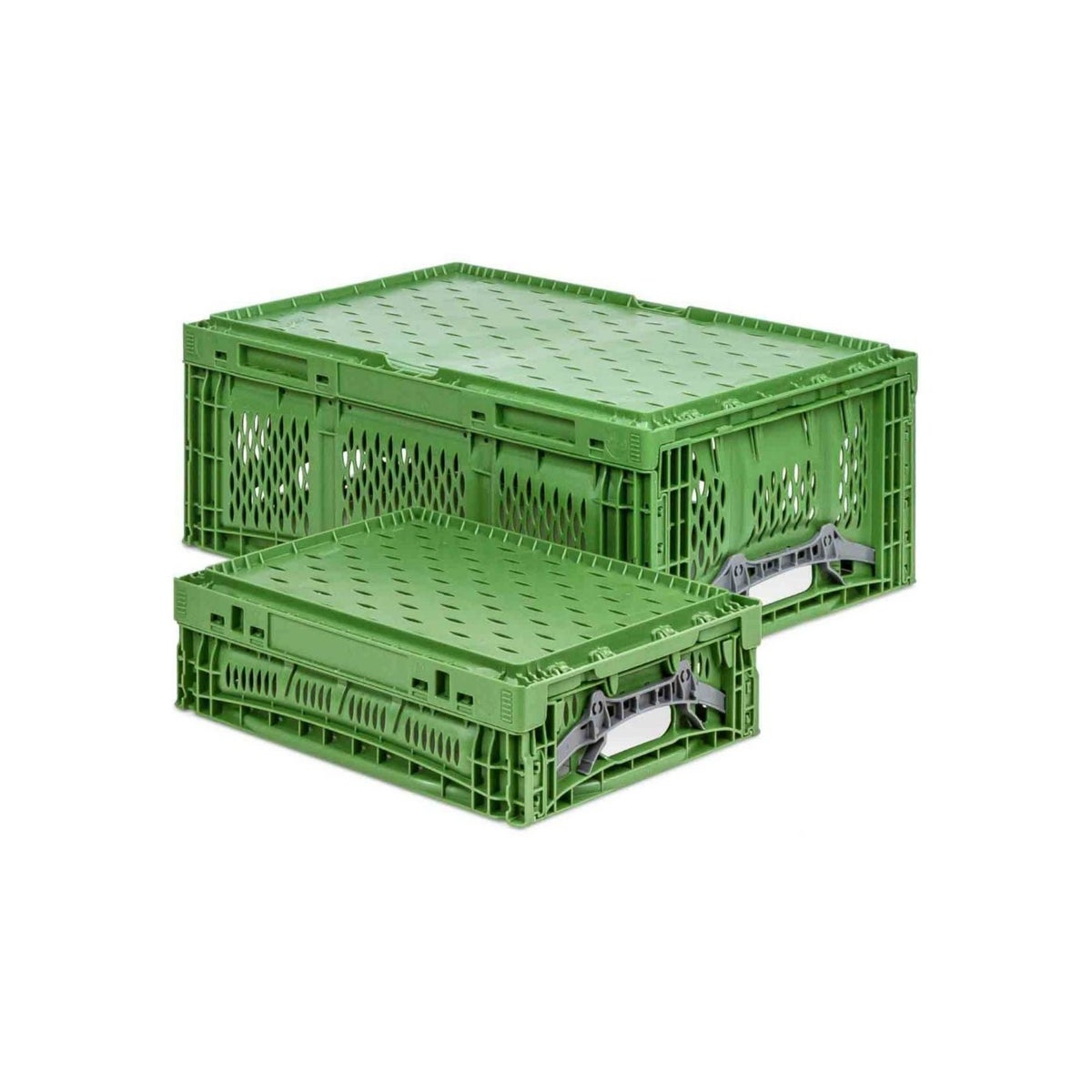 PROREGAL Stevige Professionele Vouwbox Chameleon in industriële kwaliteit HxBxD 18 x 40 x 60 cm 35 liter opvouwbaar stapelbaar