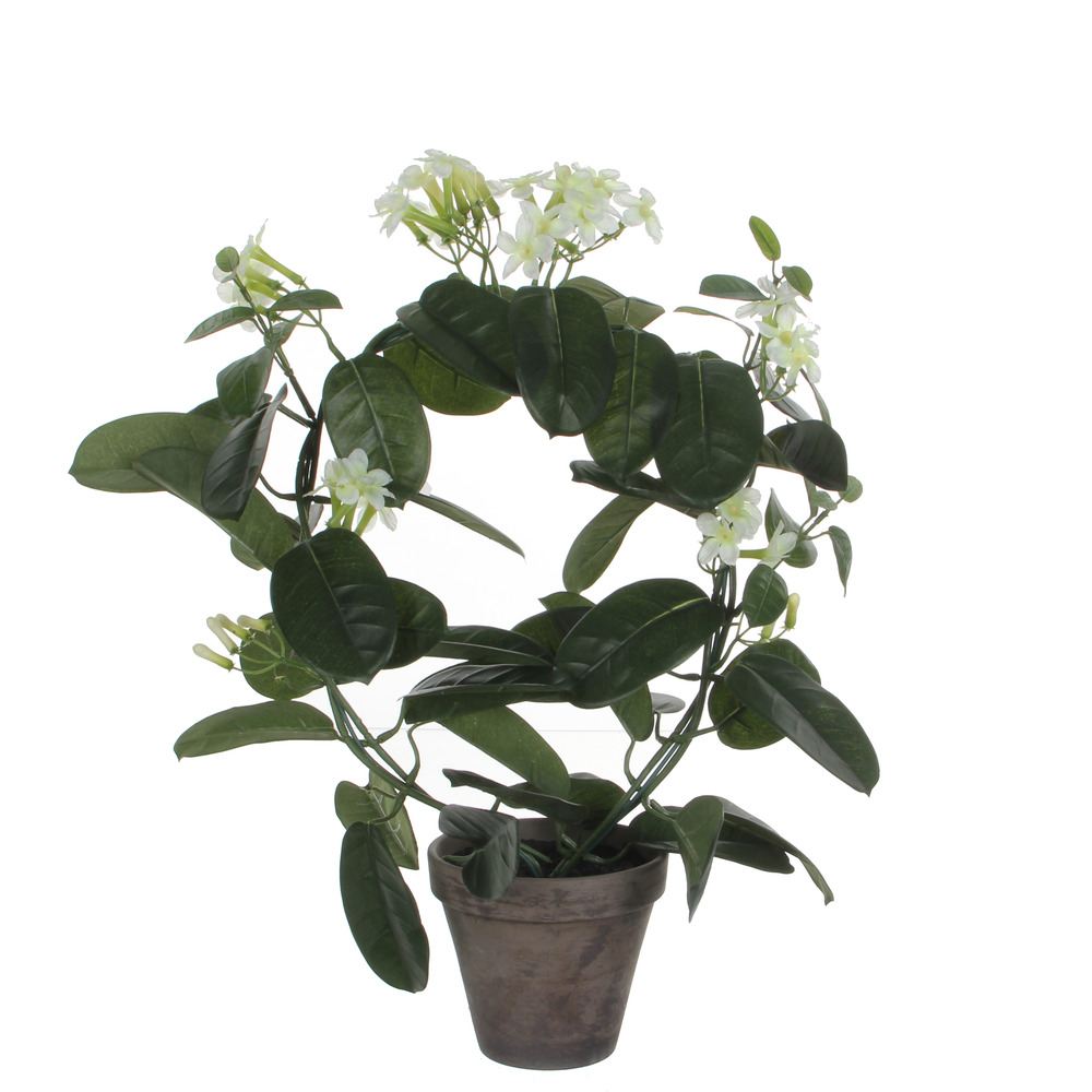 Mica decorations - stephanotis artificielle blanc en pot h50
