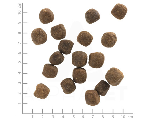 WOLFSBLUT Wild Duck Adult droog hondenvoer, eend met aardappelen met waardevolle superfoods, graanvrij, glutenvrij, 12,5 kg