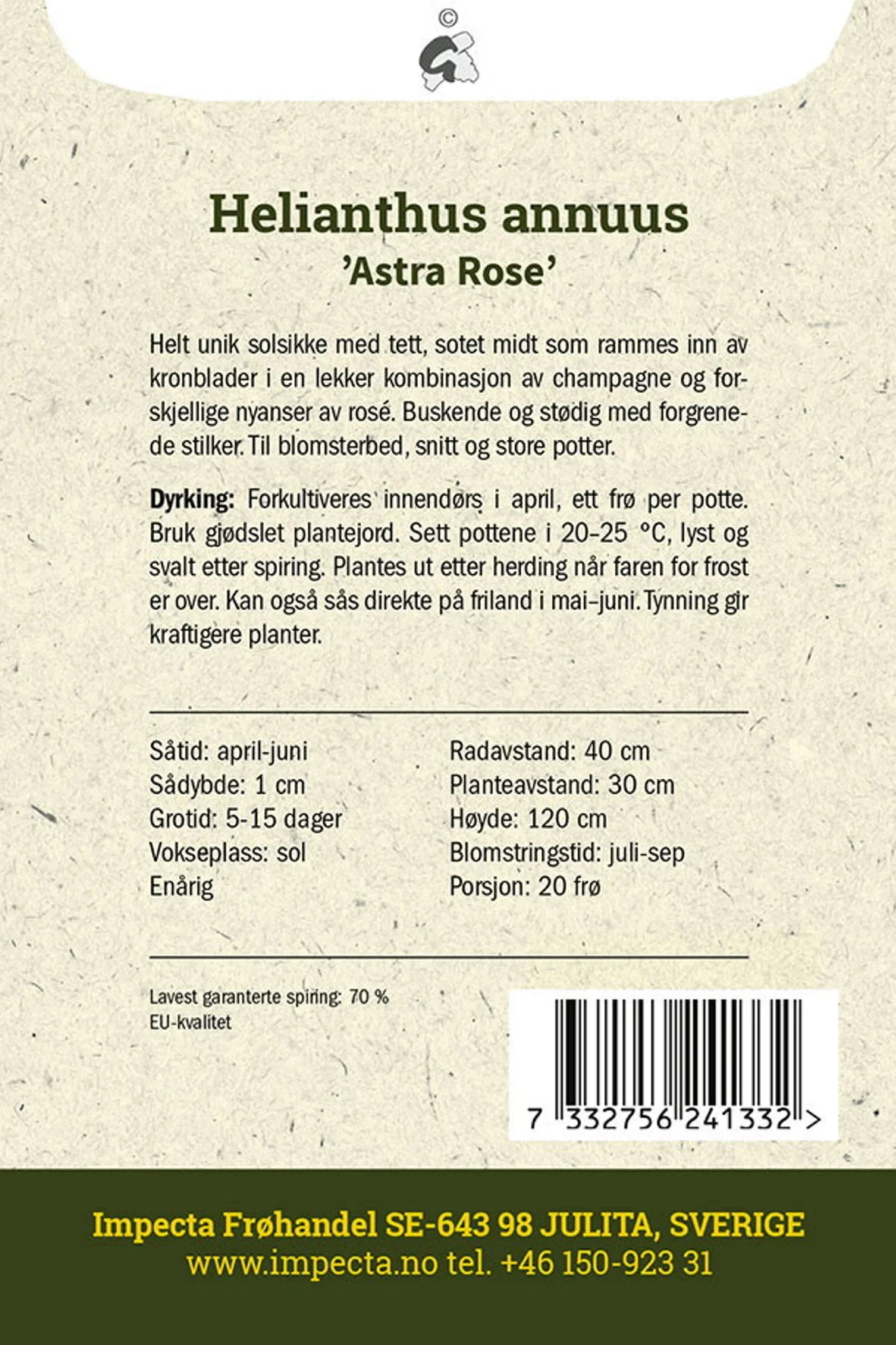 Helianthus annuus 'Astra Rose' Rød solsikke 'Astra Rose'