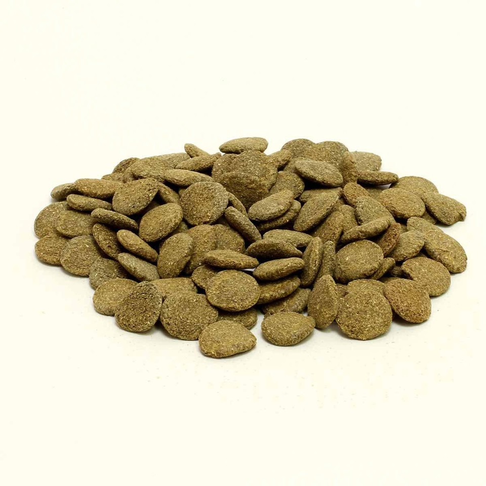 JBL Pronovo Pleco Wafer Xl 5,5L (152.0456)
