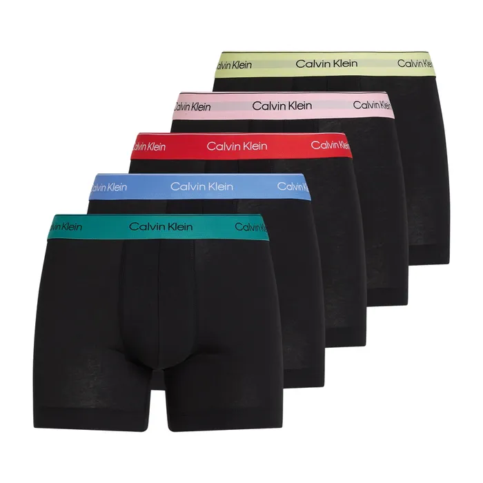 Calvin Klein Brief Boxershorts Heren (5-pack)