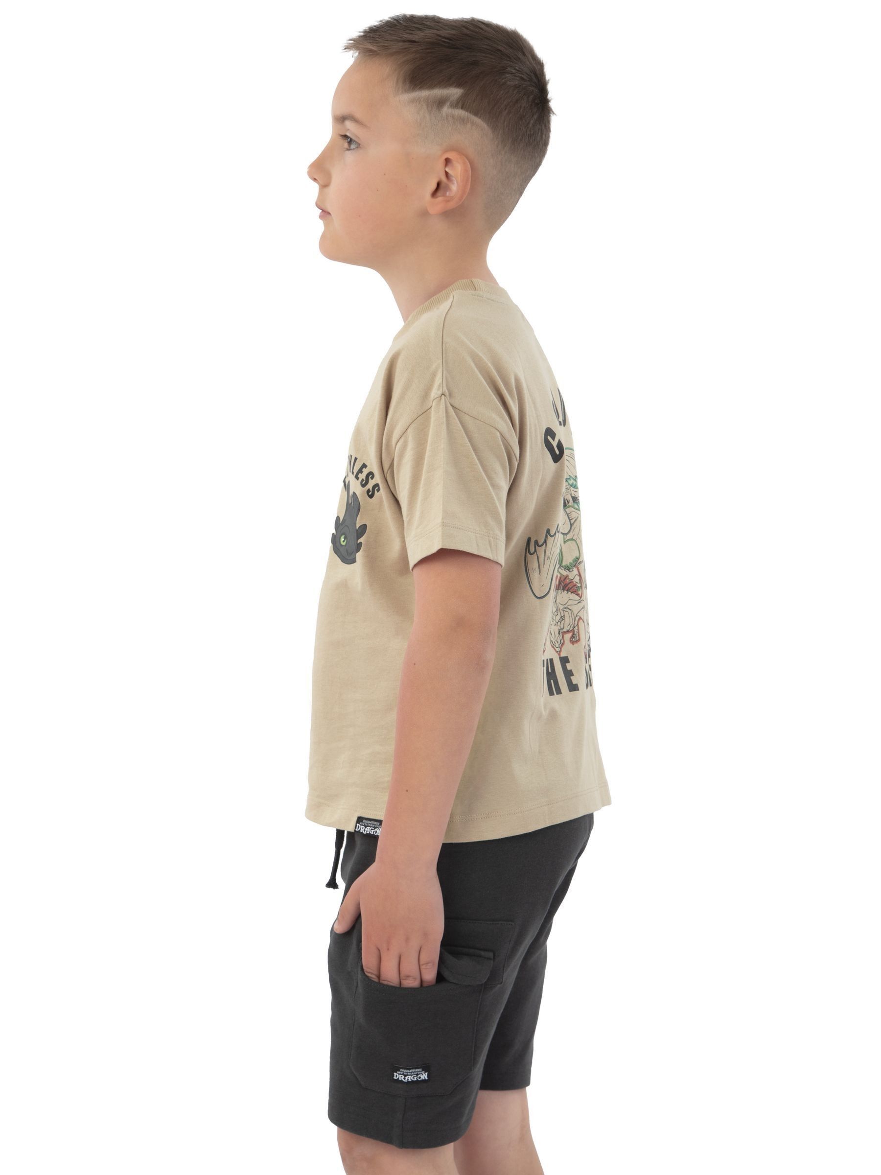 Character How To Train Your Dragon Print T-Shirt And Shorts Set
