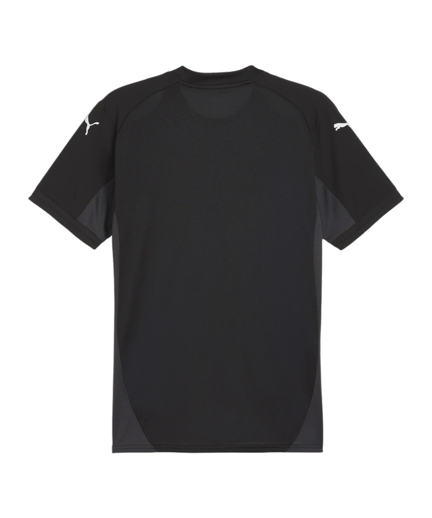 PUMA teamFINAL Trikot Schwarz Weiss Grau F03