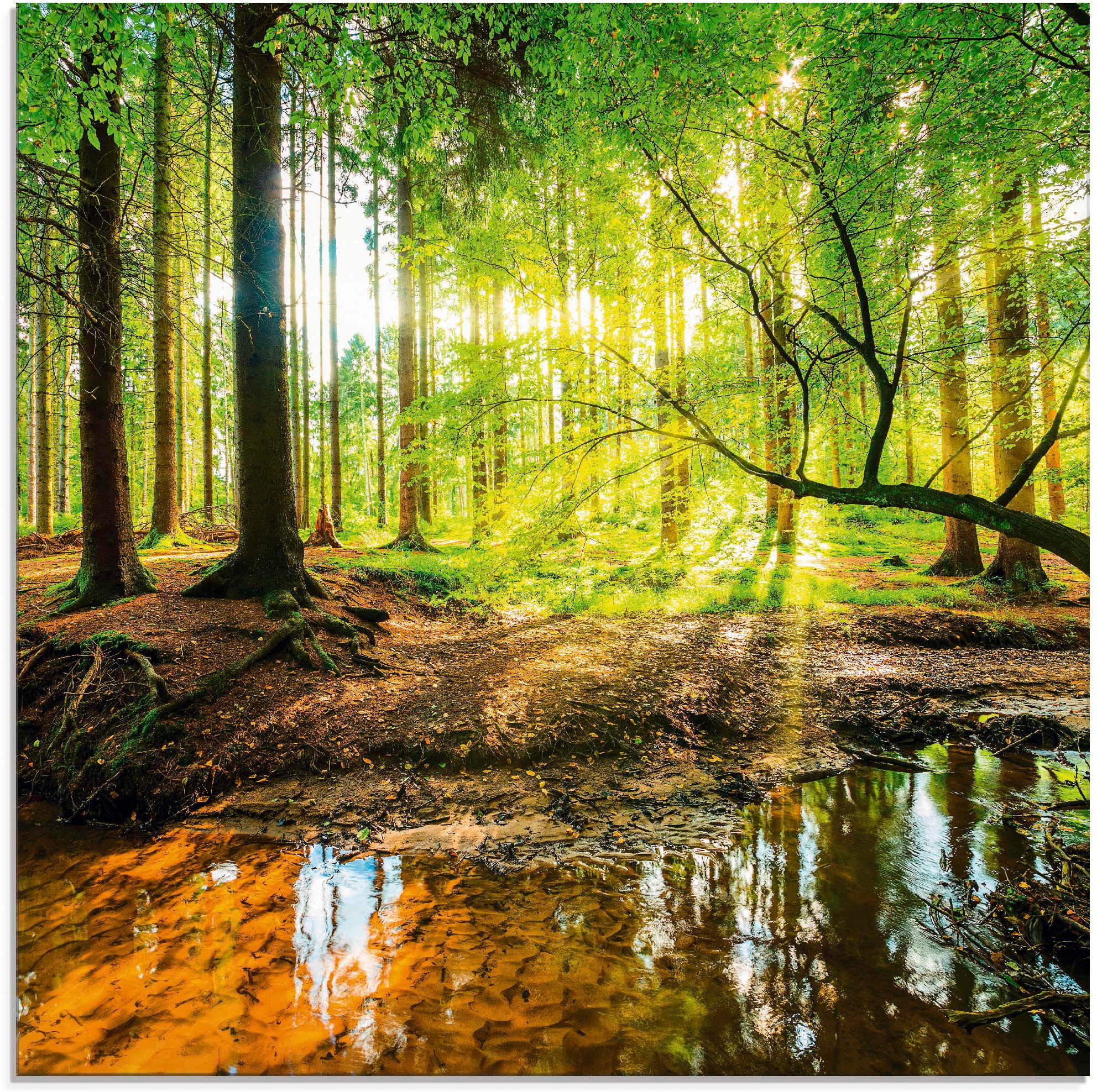 Artland Glasbild »Wald mit Bach« Wald 1 Stk. tlg. in verschiedenen Grössen