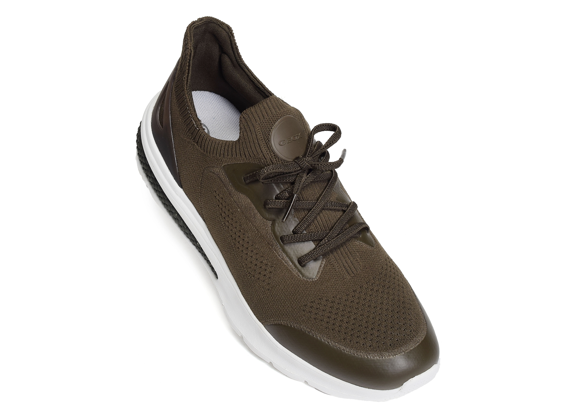 U spherica actif a kaki