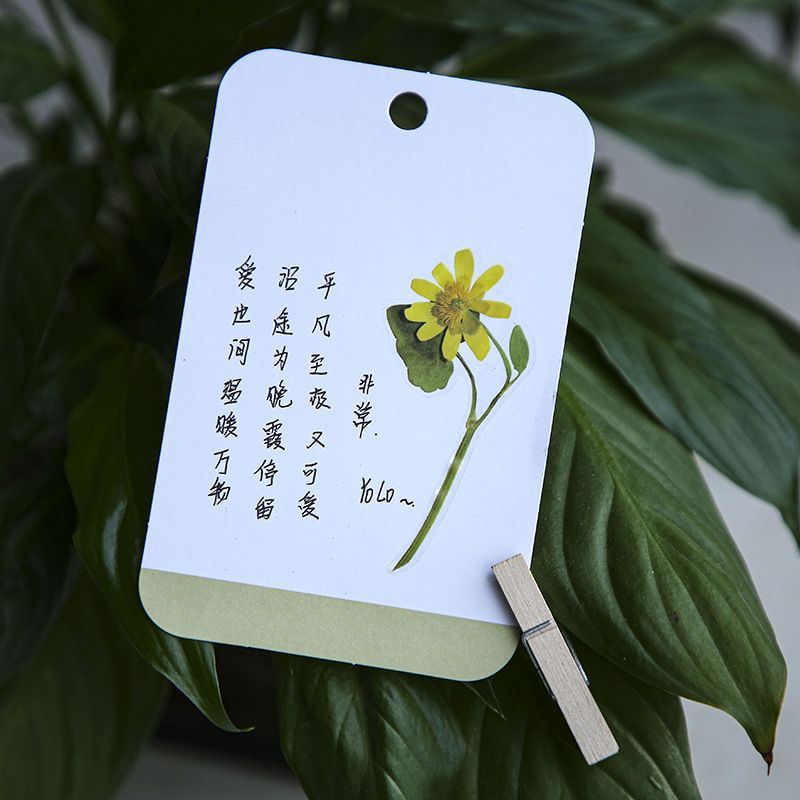 JIMO - Bloemensticker (verschillende ontwerpen)