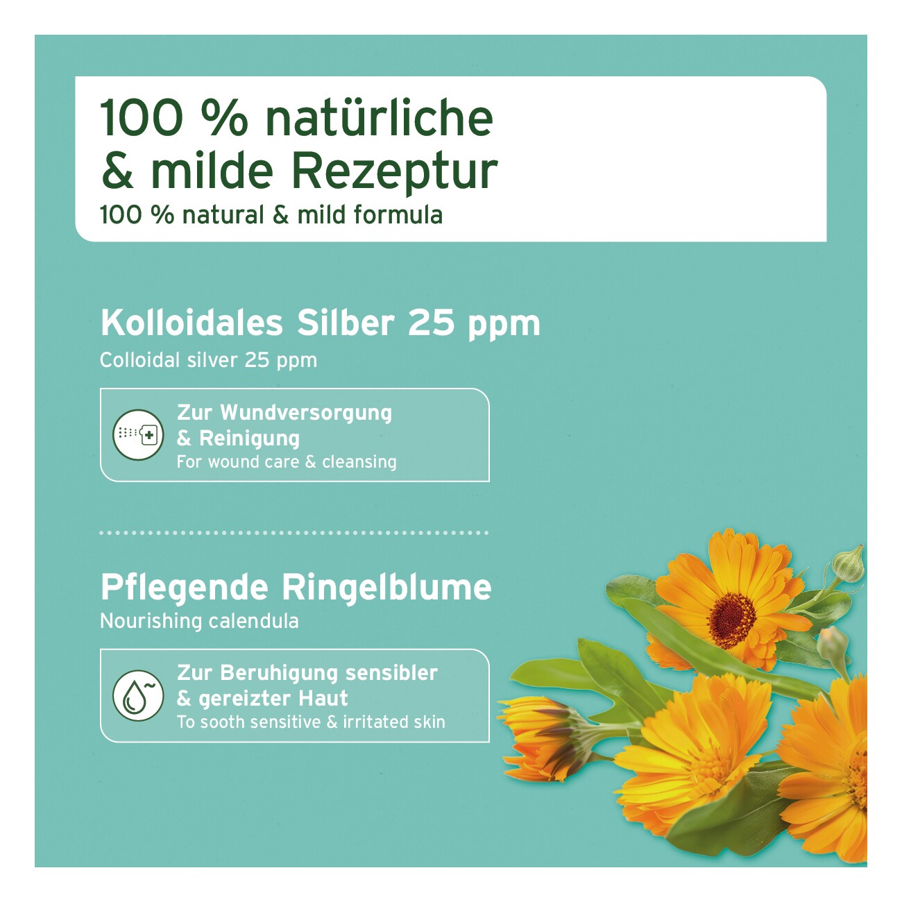 AniForte VET Ohrentropfen 50ml