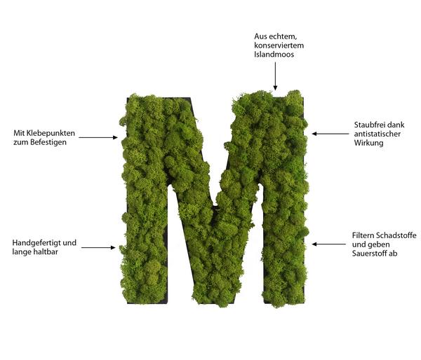 styleGREEN Buchstaben aus Islandmoos, ca. H25