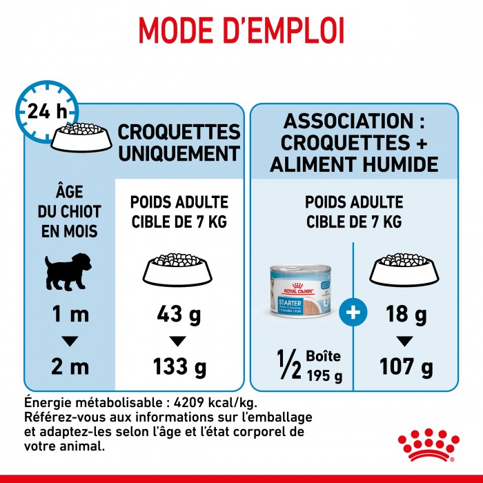 ROYAL CANIN Starter Mini Mother & Babydog - Croquettes pour chiot